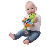 PLAYGRO Активна играчка Костенурка, 0м+